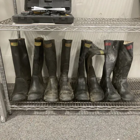 Four Pair Of Skellerup Gumboots, Sz10, 11, 12 & 13