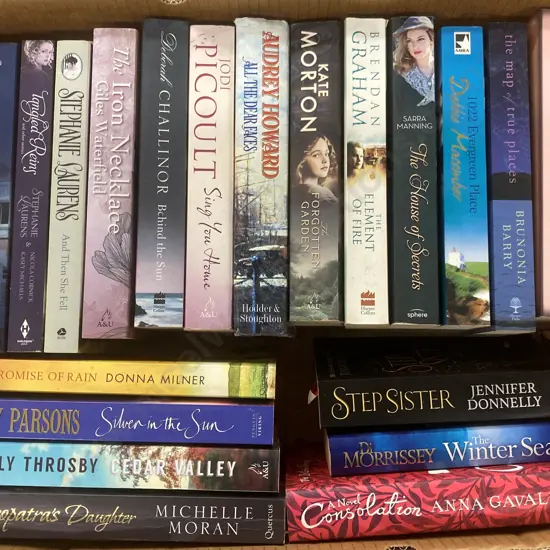 Box Lot of 20 Novels