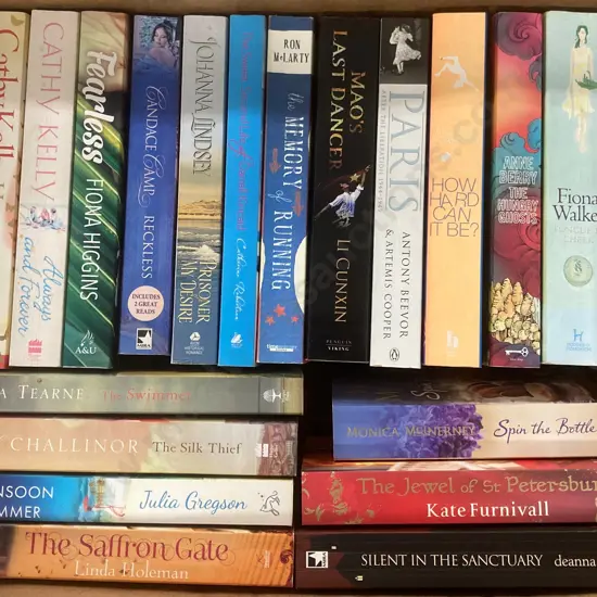 Box Lot of 21 Novels