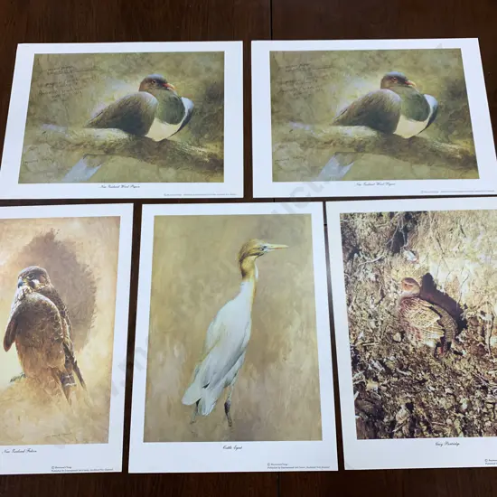 Lot of 5 Raymond Ching Prints, 28 x 38cm