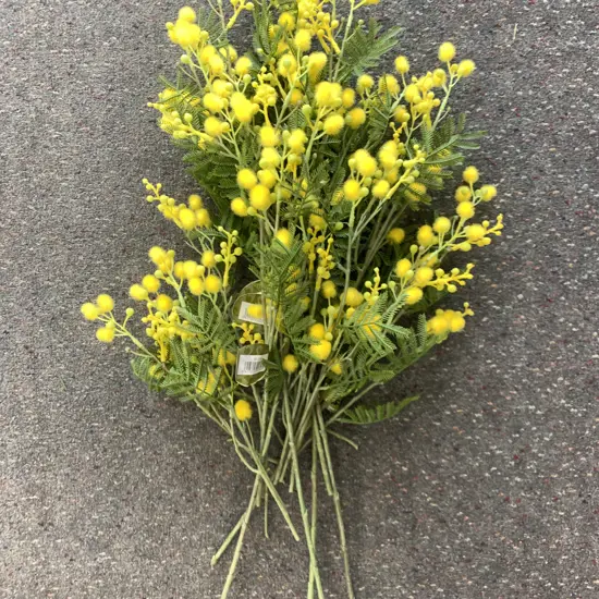 Lot of Assorted Lengths of New Faux Mimosa