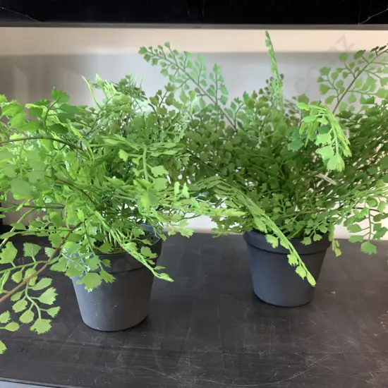 Pair of New Potted Artificial Maiden Hair Ferns