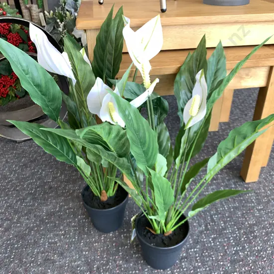 Pair of New Flower Systems Artificial Peace Lillies, H53cm