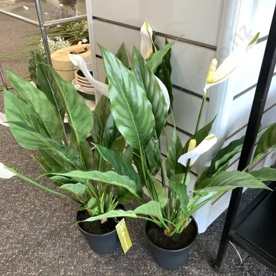 Pair of New Flower Systems Artificial Peace Lillies, H53cm