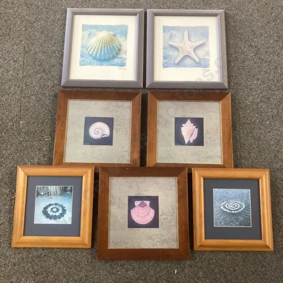 Assortment of Framed artworks, shells and pumice stones etc