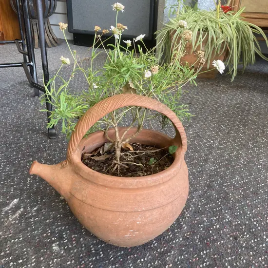 Terracotta Kettle & Plant, 40 x 30cm