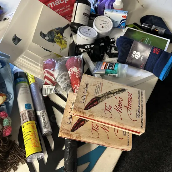 Box Lot Sundries, Artwork, Books, MacPac Self Inflating Mat Etc