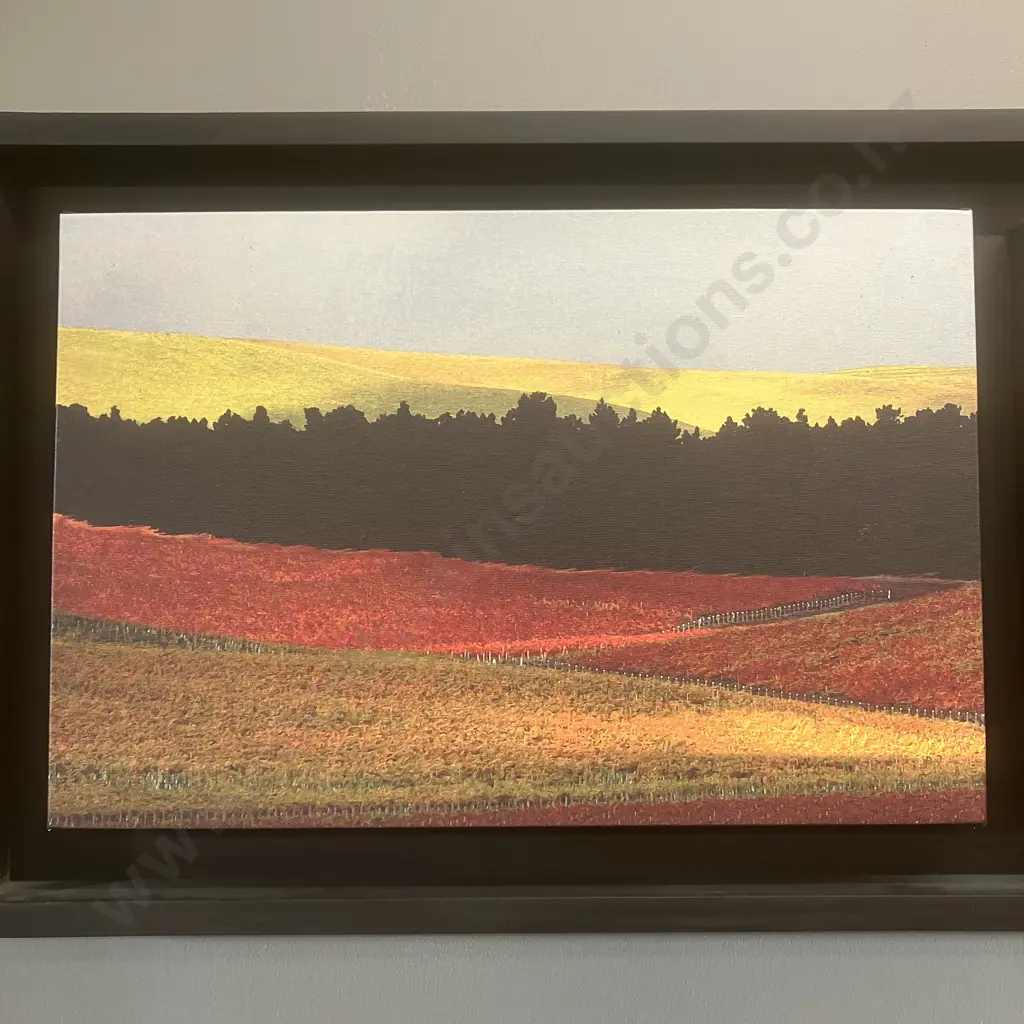 Peter Latham 'Late Harvest' 2006 Triptych, Signed & Numbered 8/75 Limited Edition. 45 x 171cm Image 1++