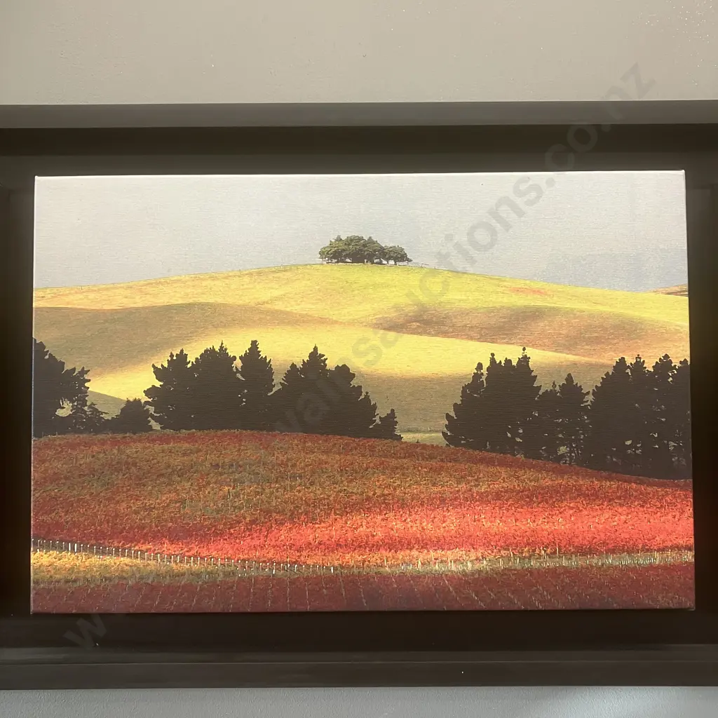 Peter Latham 'Late Harvest' 2006 Triptych, Signed & Numbered 8/75 Limited Edition. 45 x 171cm Image 1++