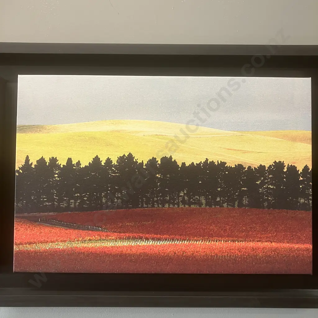 Peter Latham 'Late Harvest' 2006 Triptych, Signed & Numbered 8/75 Limited Edition. 45 x 171cm Image 1++