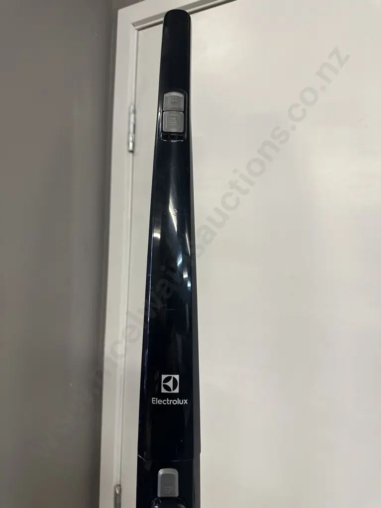 Electrolux Ergorapidion Vaccum Image 1++