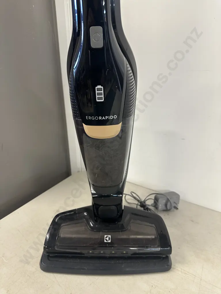 Electrolux Ergorapidion Vaccum Image 1++