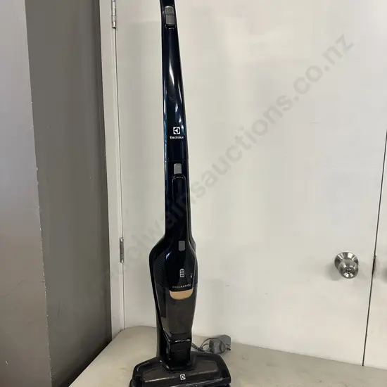 Electrolux Ergorapidion Vaccum