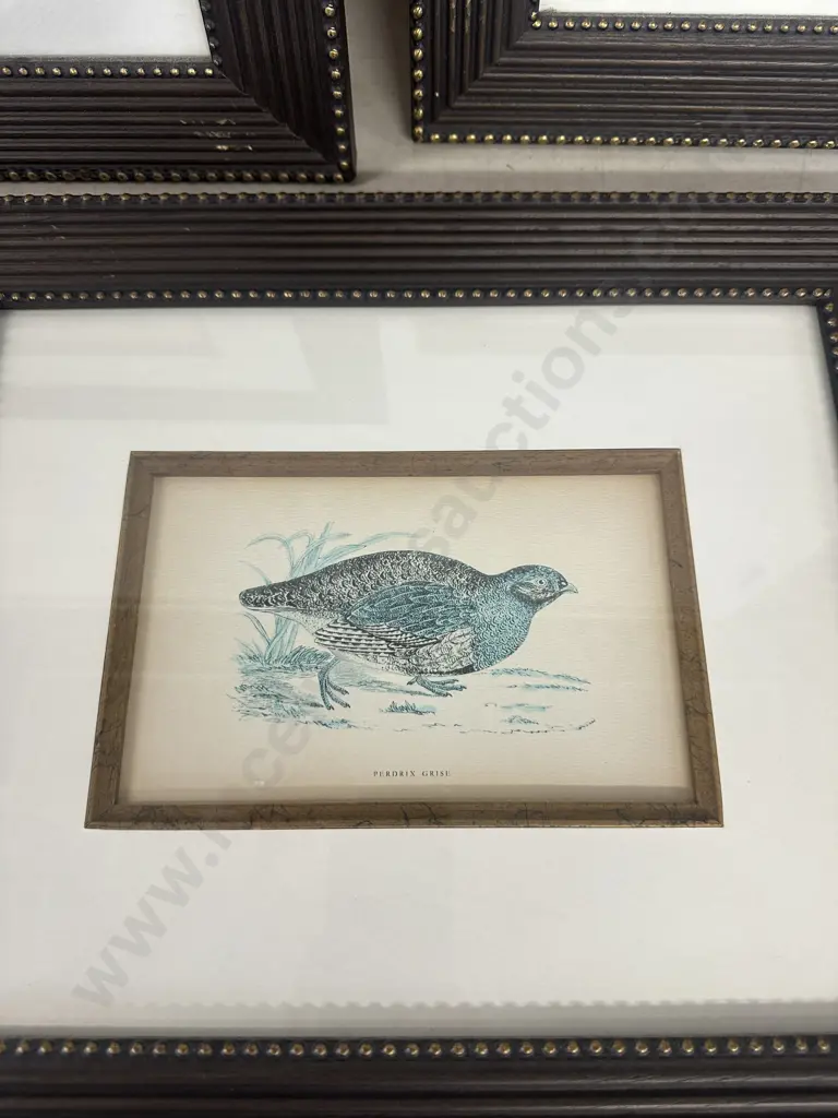 Set Of Three Framed Prints Including Caille, Becasseau Maubeche & Perdrix Grise 38x46cm. Image 1++