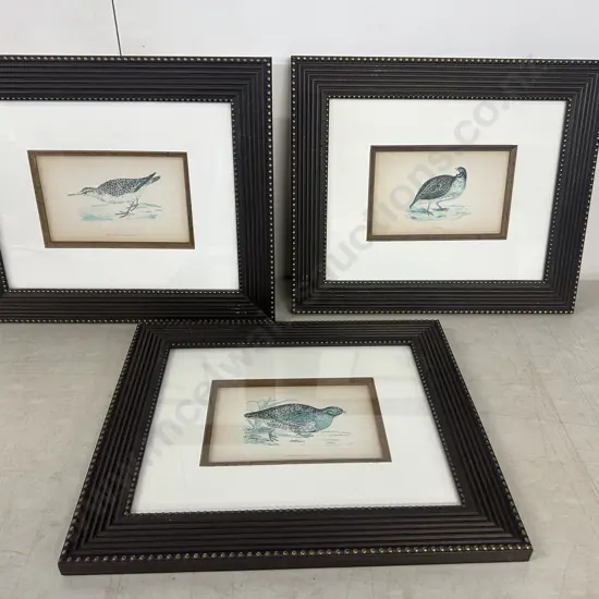 Set Of Three Framed Prints Including Caille, Becasseau Maubeche & Perdrix Grise 38x46cm.