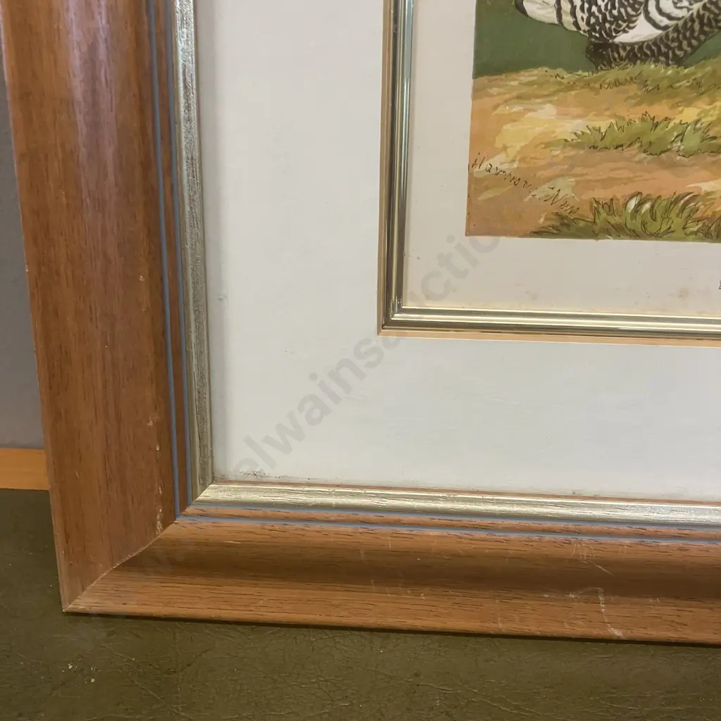 'Silver Spangled Hamburghs' Harrison Weir Fine Art-Print, Framed 35 x 40cm Image 1++