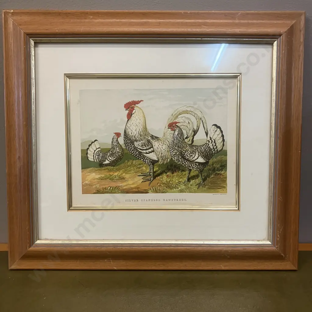 'Silver Spangled Hamburghs' Harrison Weir Fine Art-Print, Framed 35 x 40cm Image 1++