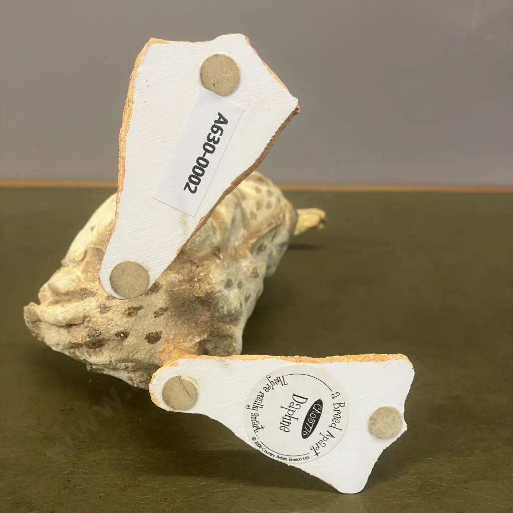 Country Artists A Breed Apart 'Daphne' 05776 (2008). H24cm Image 1++