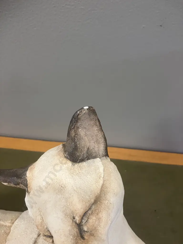 Very Large Country Artists A Breed Apart 'Sasha' felis wakeus 01978 (2002). L53cm Image 1++