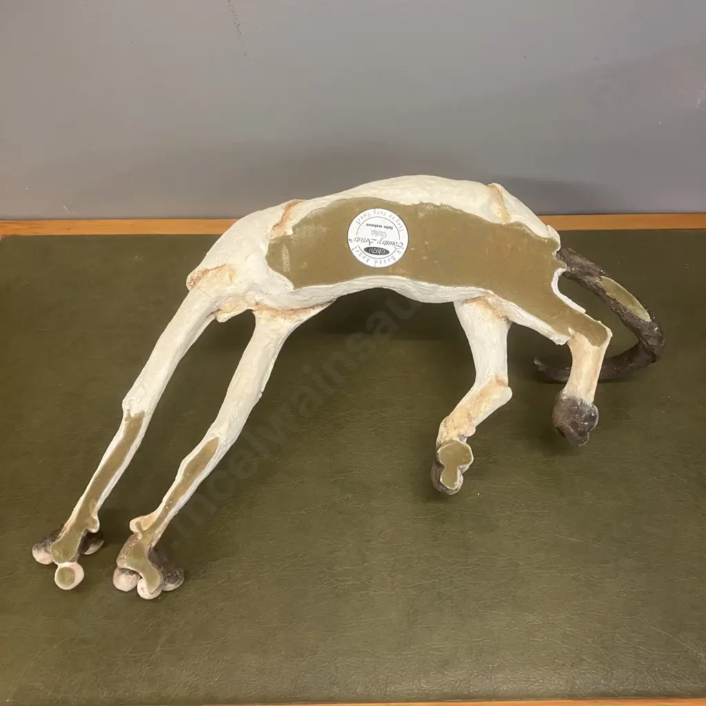 Very Large Country Artists A Breed Apart 'Sasha' felis wakeus 01978 (2002). L53cm Image 1++