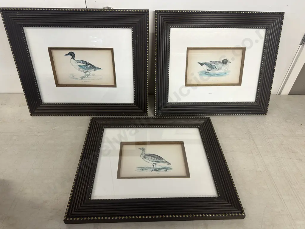Set Of Three Framed Prints Including Grande Outarde, Canard Siffieur & Canard Souchet 38x38cm.  Image 1++