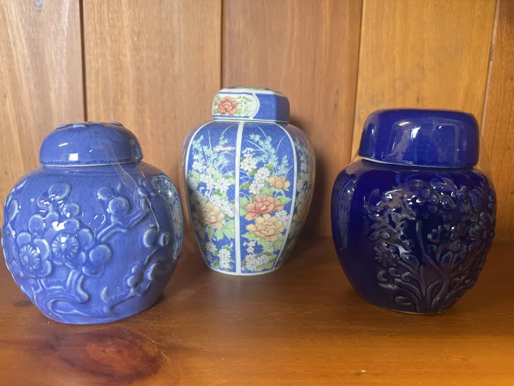 Vintage Chinese Porcelain Ginger Jars Image 1++