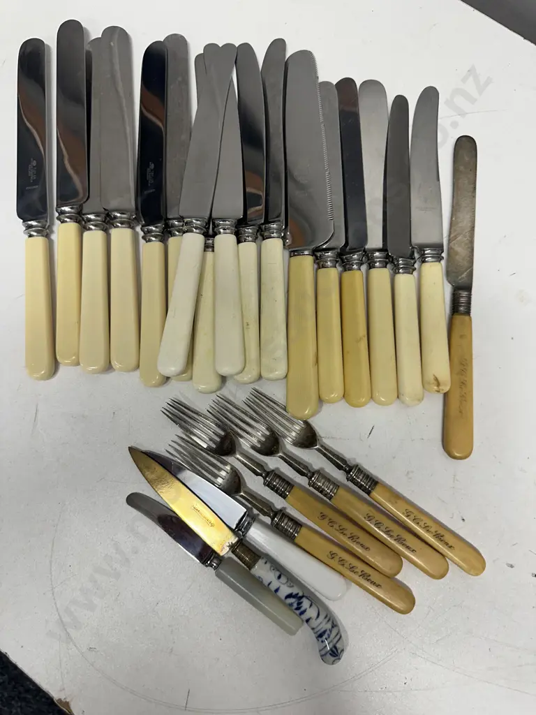 Assorted Vintage Bone Handled Knives & Cutlery Including Sheffield Taylor, Mutual, John Turton Etc Image 1++