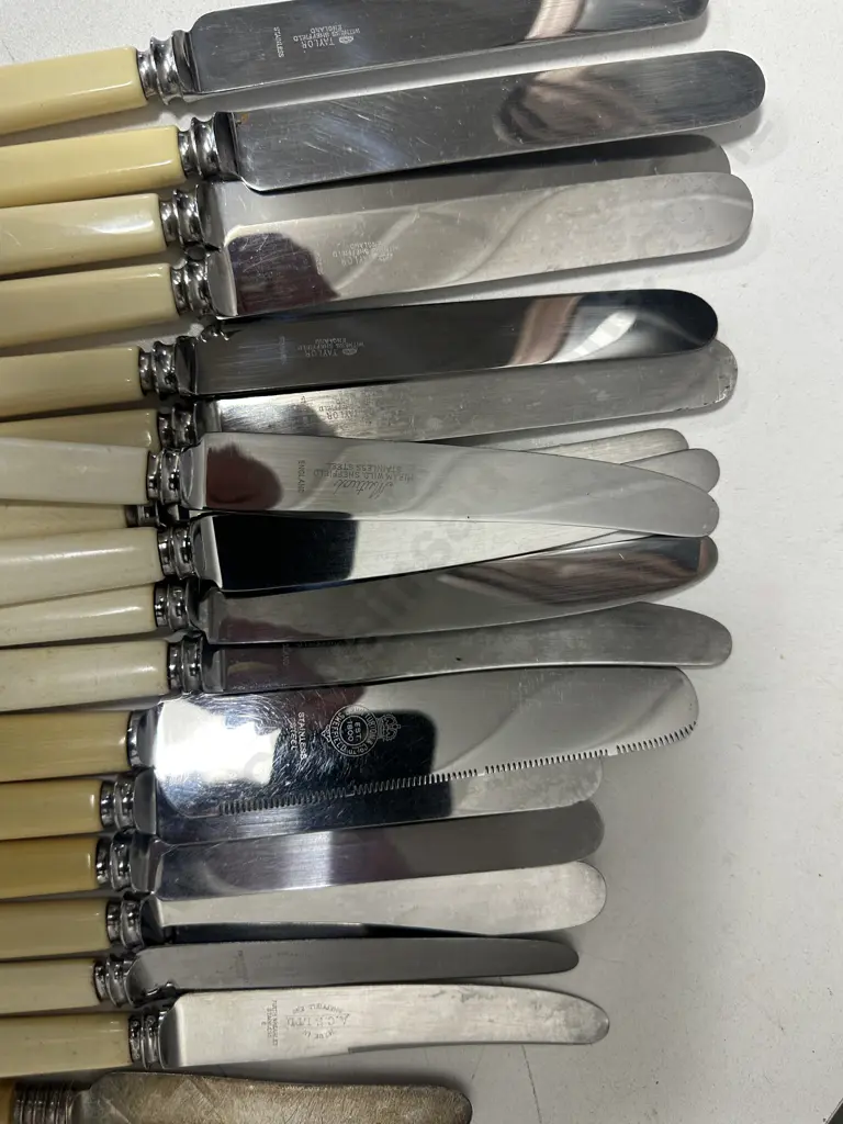 Assorted Vintage Bone Handled Knives & Cutlery Including Sheffield Taylor, Mutual, John Turton Etc Image 1++