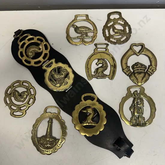 Selection Of Horse Brasses