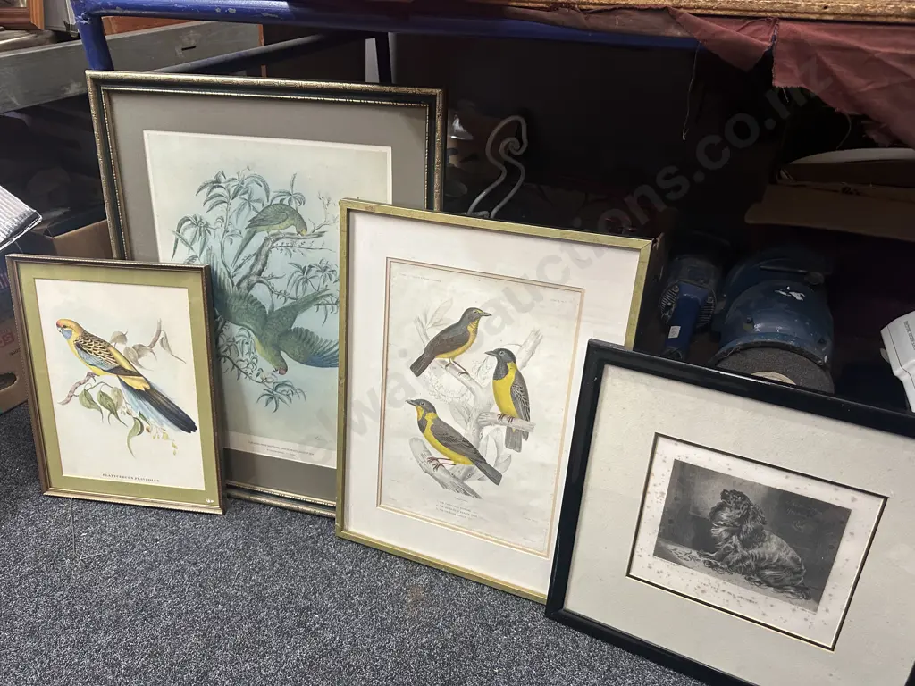 Assorted Vintage Framed Artwork Birds Etc Image 1++