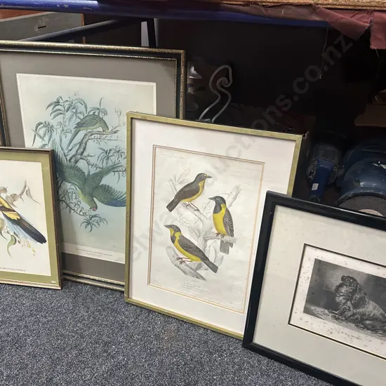Assorted Vintage Framed Artwork Birds Etc