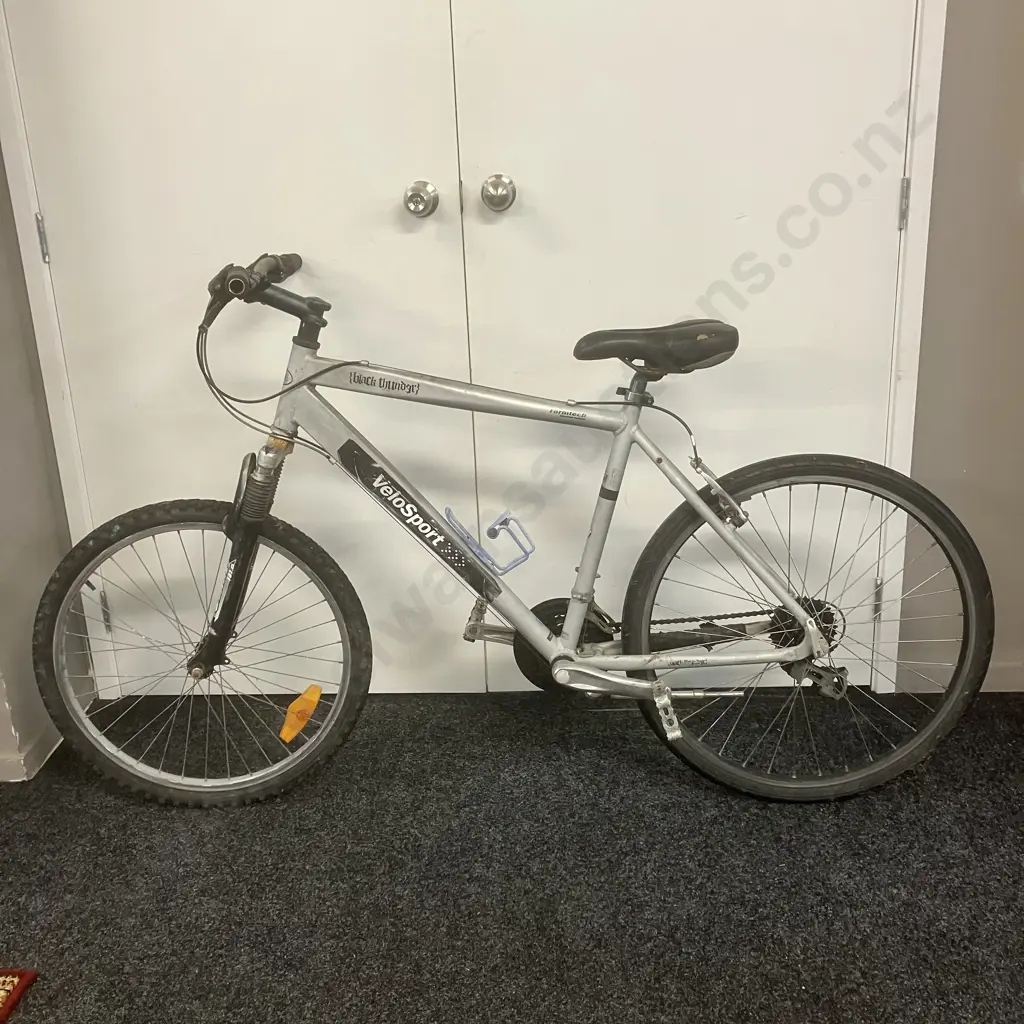 Black / Grey Velosport Black Thunder Bicycle Image 1++