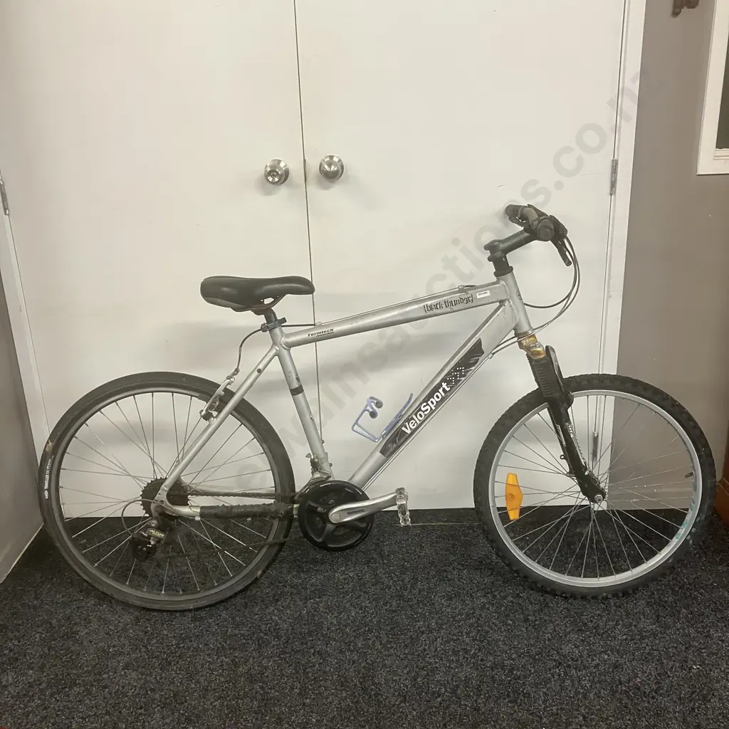 Black / Grey Velosport Black Thunder Bicycle Image 1++