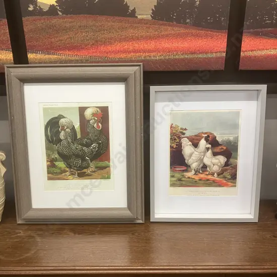 Pair of Framed Vintage Prints of Antique Poultry Lithographs