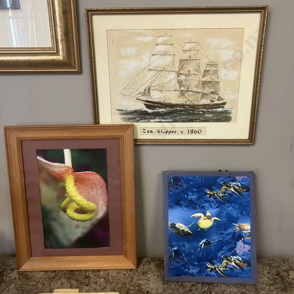 Three Pictures - Tea Clipper c1860, Flower Photograph, Sea Turtles On Canvas Image 1++