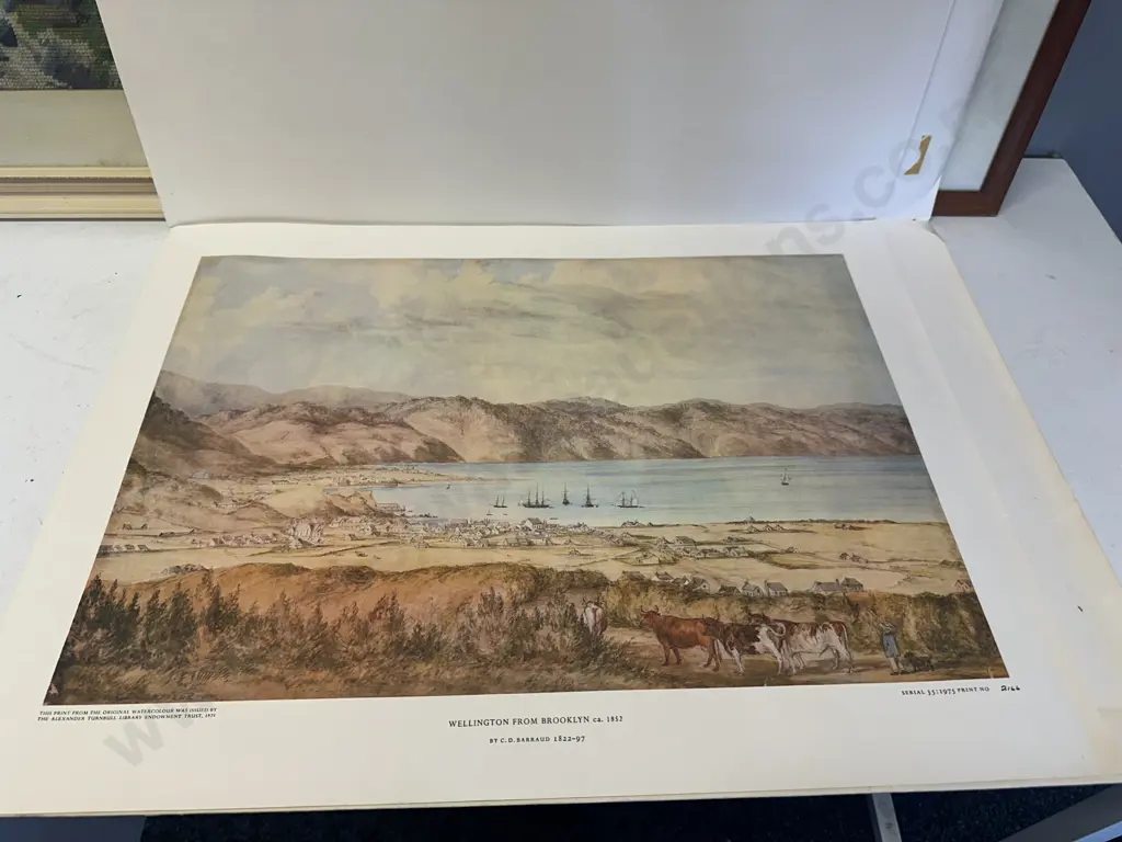 Vintage Framed Tapestry Artwork & The Alexander Turnbull Library Prints Colonial Wellington Image 1++