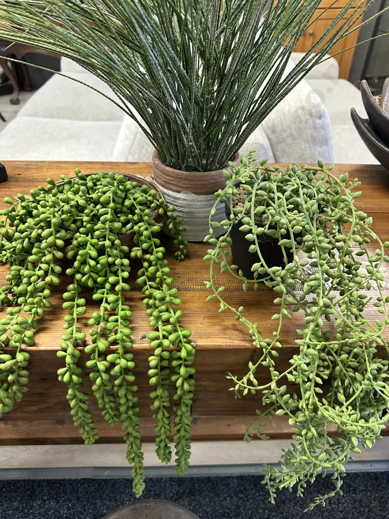 Faux Plants x3  Image 1++