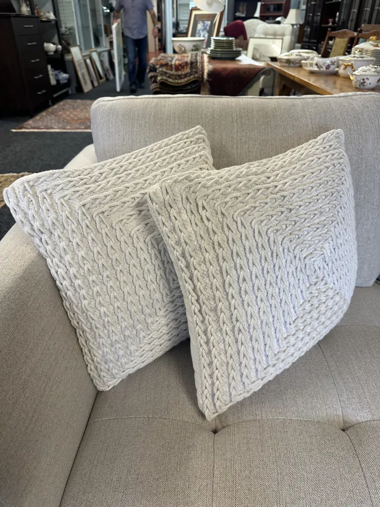 Pair Of 'Rayze' White With Braid Detail Designer Cushions Image 1++