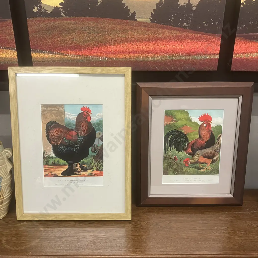 Pair of Framed Vintage Prints of Antique Poultry Lithographs Image 1++