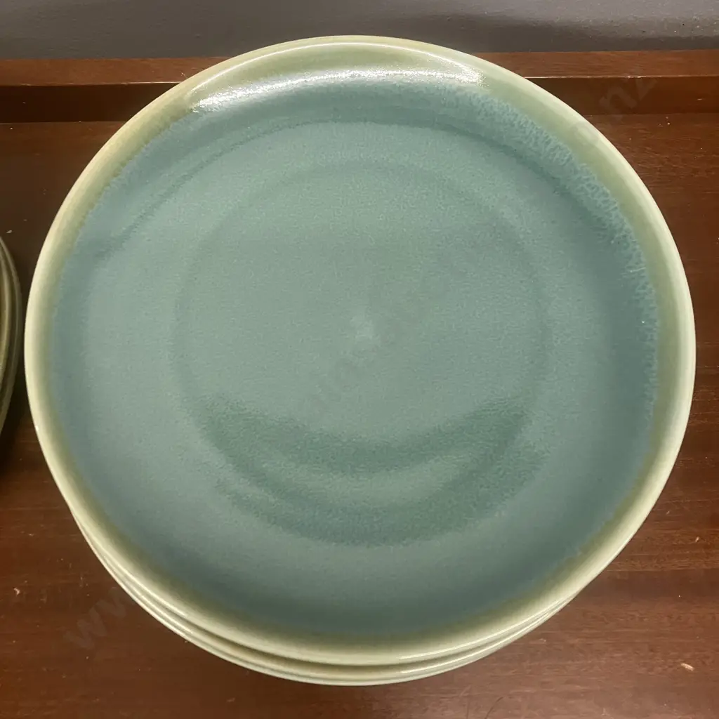 Tablekraft Coast x 13  - Aqua Green Triangular & Round Plates With Rectangular Platters Image 1++