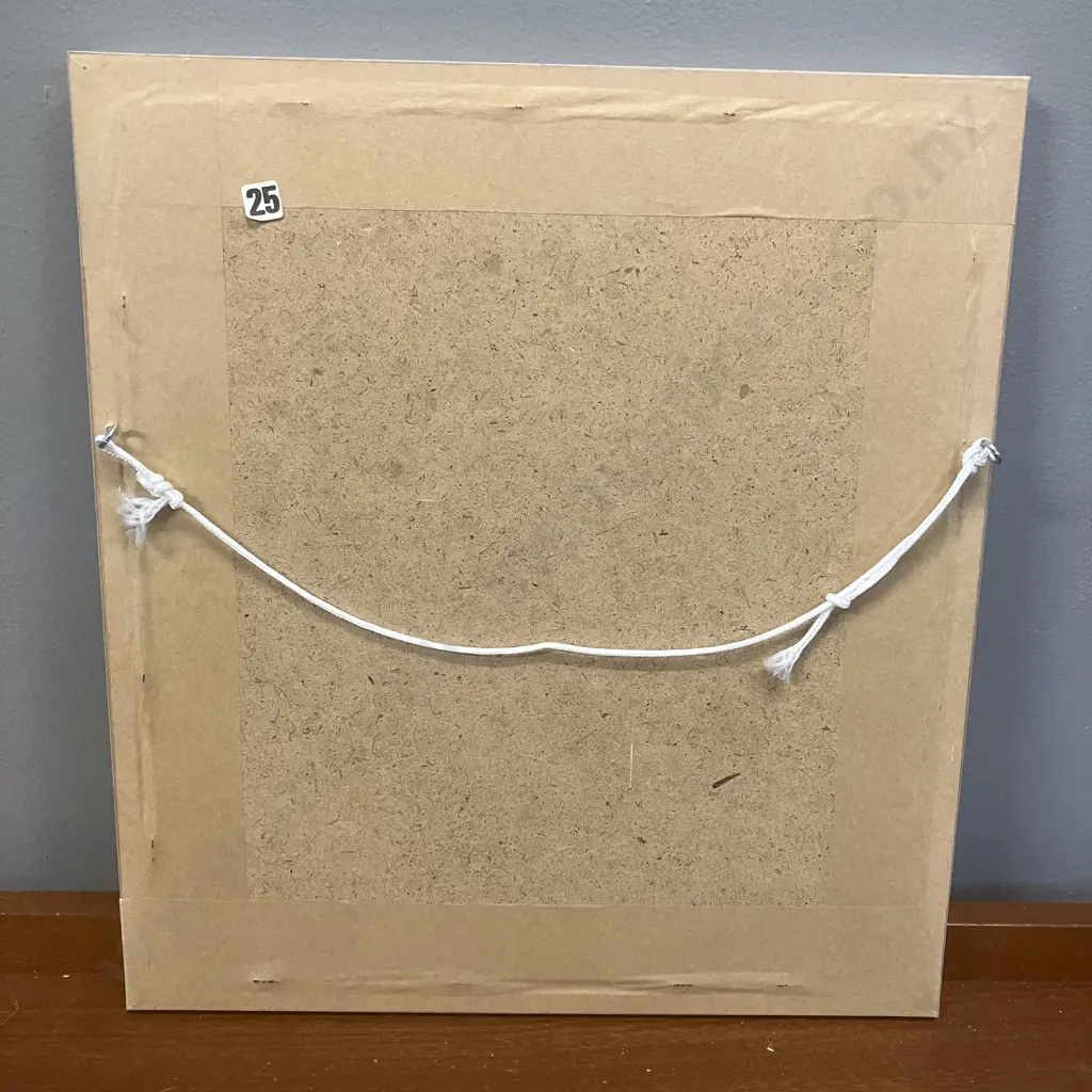 Jenny K. Phillips 1986 Botanical Studies Print 229/1000 Inscribed, Dated & Editioned In Image. 36 x 33cm Image 1++