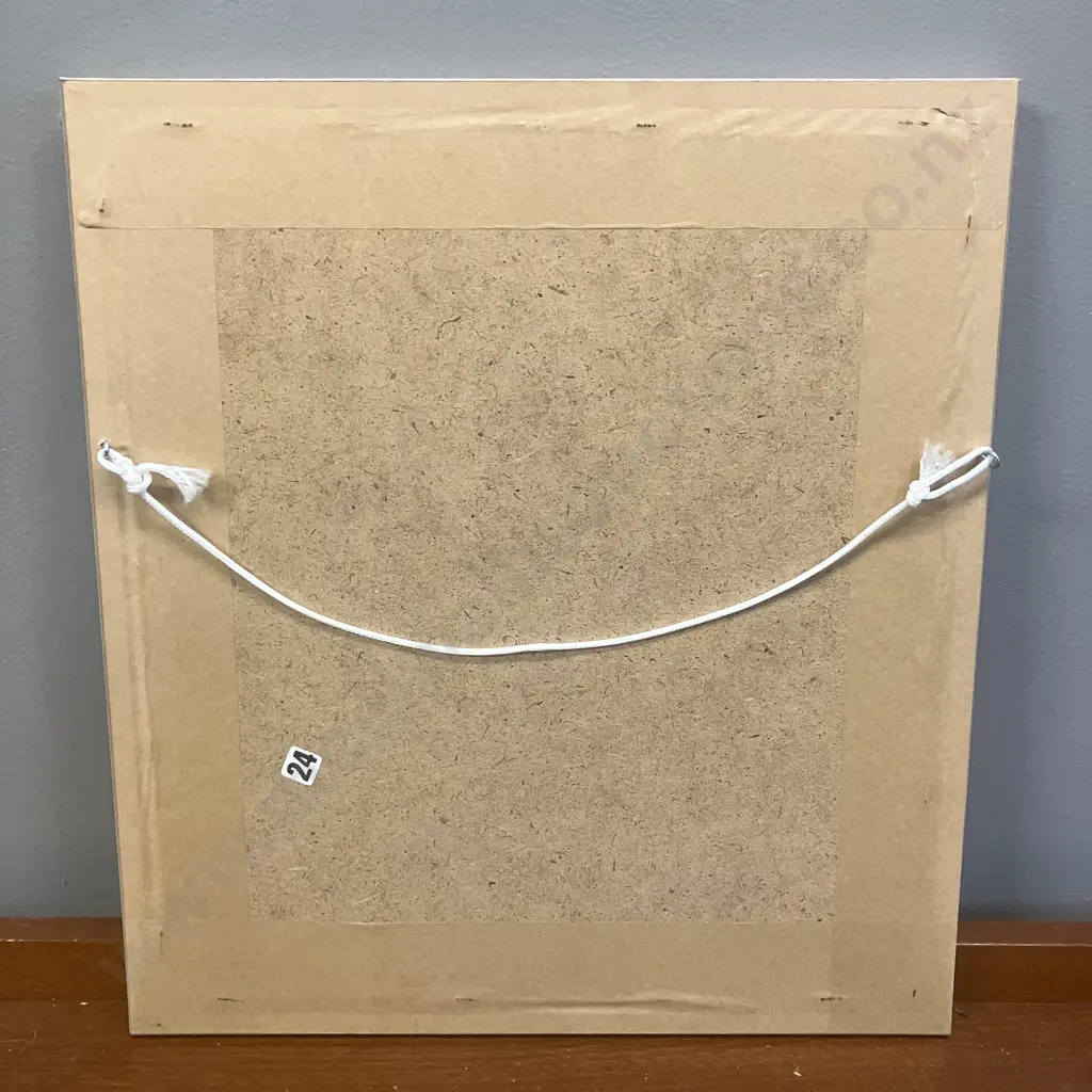 Jenny K. Phillips 1986 Botanical Studies Print 226/1000 Inscribed, Dated & Editioned In Image. 36 x 33cm Image 1++