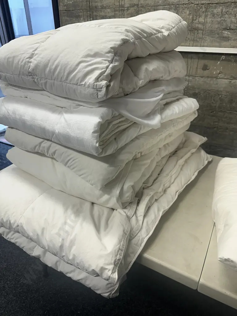 Assorted Single Bed Linen Including Jonelle Inners, Mattress Protector Etc Image 1++