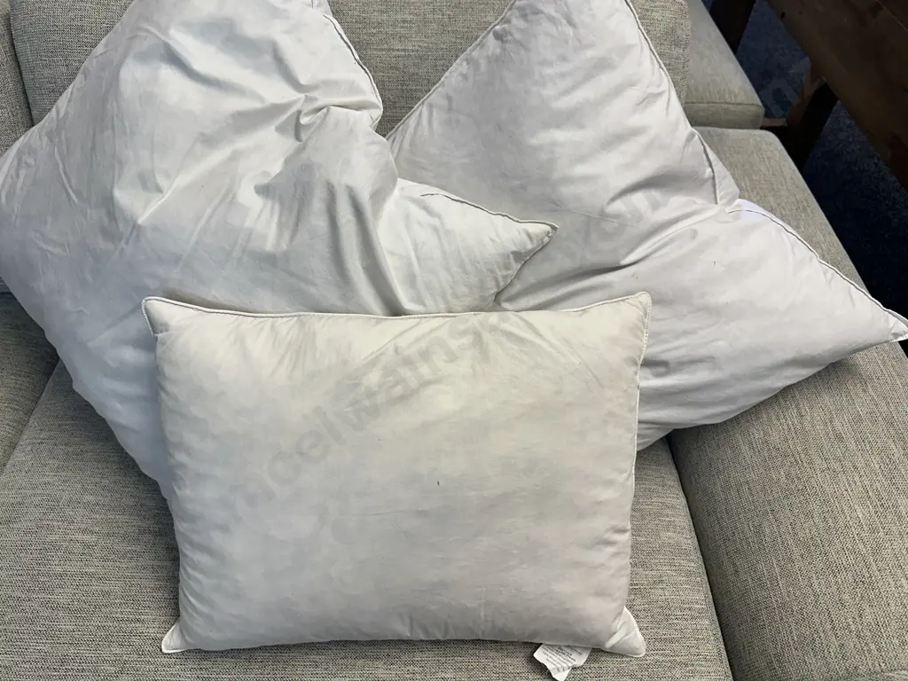 Pair Of Duck Feather Euro Cushions & Fairydown Rectangular Feather Cushion Inner Image 1++