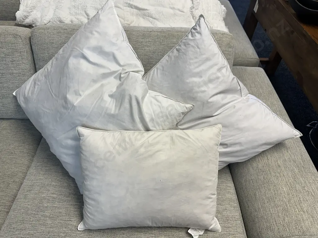 Pair Of Duck Feather Euro Cushions & Fairydown Rectangular Feather Cushion Inner Image 1++