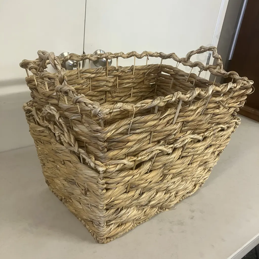 Pair of Woven Water Hyacinth Double Handled Baskets. H32 W53 D37cm Image 1++