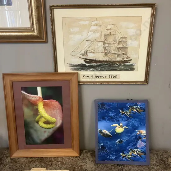 Three Pictures - Tea Clipper c1860, Flower Photograph, Sea Turtles On Canvas