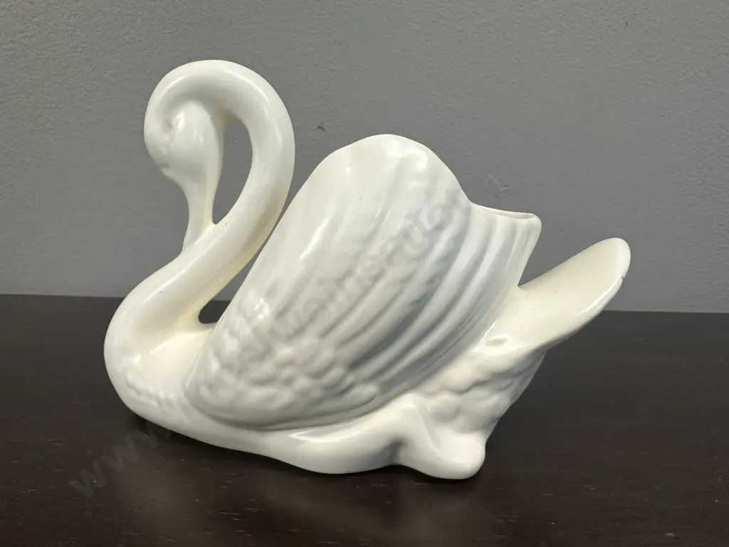 Small Cream Crown Lynn Swan (af) Image 1++