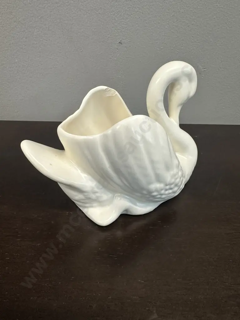 Small Cream Crown Lynn Swan (af) Image 1++