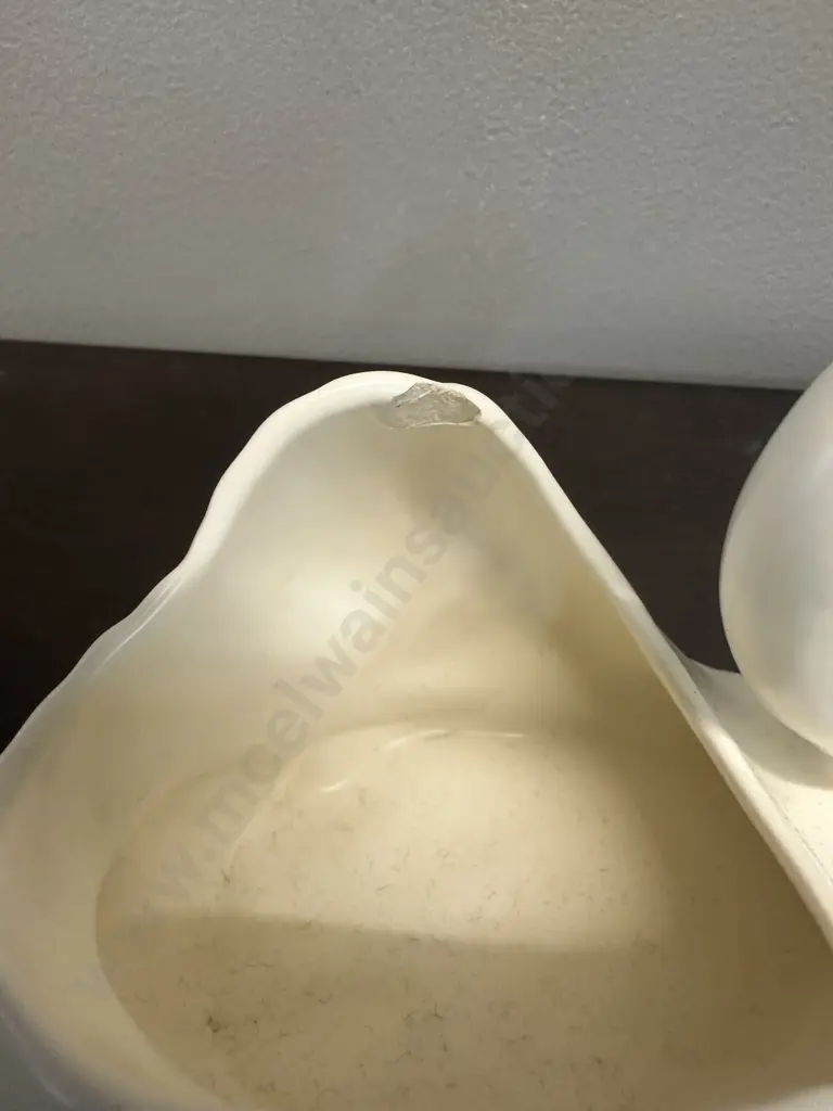 Small Cream Crown Lynn Swan (af) Image 1++